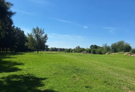 Golf social: se impulsa la creación de una cancha de golf en el Bosque de los Constituyentes