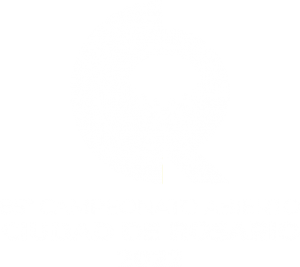 ccr-blanco-v ccr-blanco-v